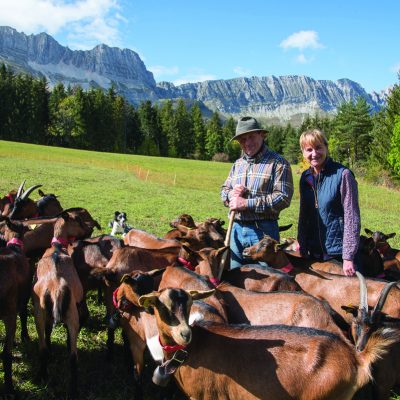 Isère . Trièves et Vercors . Ferme du Grand Veymont chez Anne-Laure et Gilles Apeloig, éleveurs de chèvres et de brebis